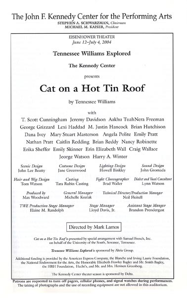 Cat On A Hot Tin Roof
